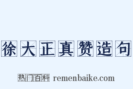徐大正真赞造句是什么意思的图片